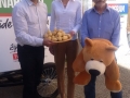předvolební kampaň1 předvolební kampaň1